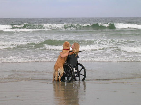 Image of a girl and her loyal service dog at the beach, enjoying the view.