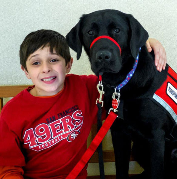 Image of boy and service dog.