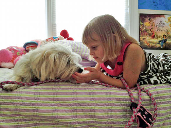 Service dogs. Image of girl and her dog.