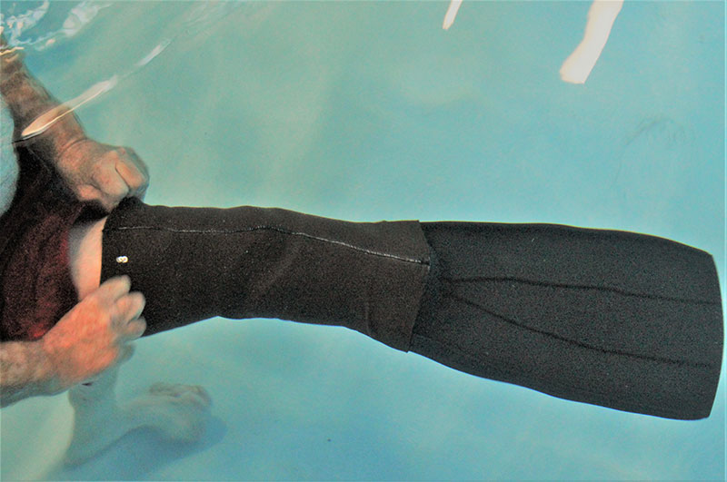 Putting on an Amputee Swimming Fin
