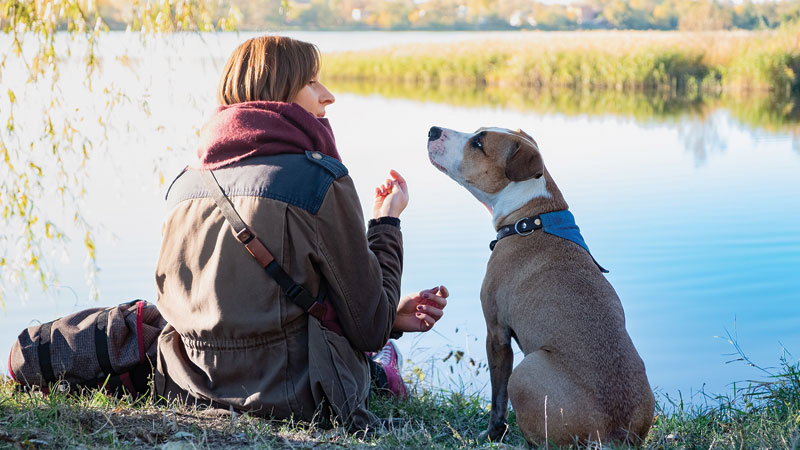 Is a Service Dog Right for You?