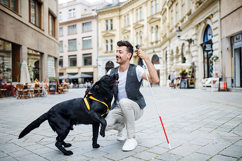 Man with service animal in Europe